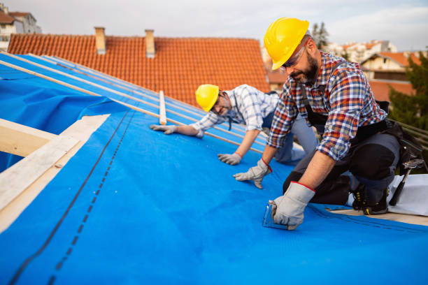 Best Local Roofing Companies  in Ramblewood, NJ