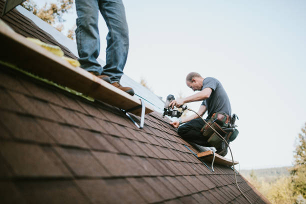 Best Gutter Installation and Roofing  in Ramblewood, NJ